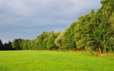  Minnesota-Land-for-sale